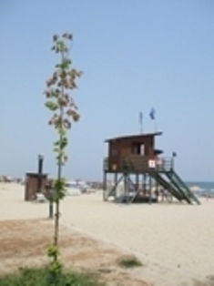 DSCF0378.jpg