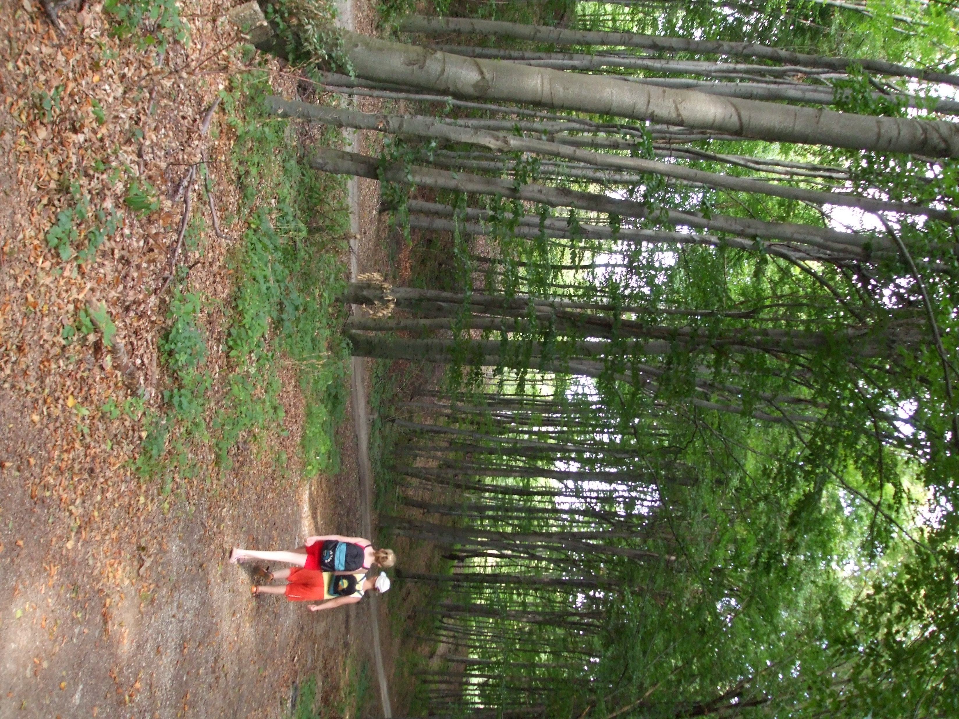 DSCF0770.jpg